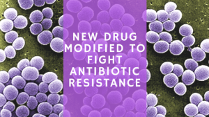 Ivana De Domenico: New Drug Modified to Fight Antibiotic Resistance