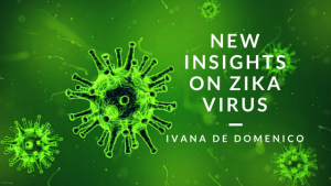 Ivana de Domenico- ZIKA Virus